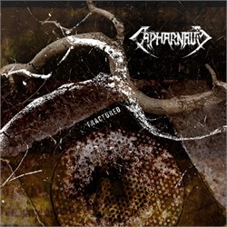 Capharnaum - Fractured